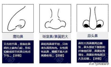 不露鼻孔 面相|面相入门